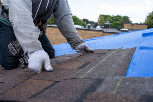 Best Emergency Roof Repair  in Madison, MS